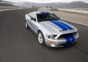 Shelby Cobra GT500 Show Car